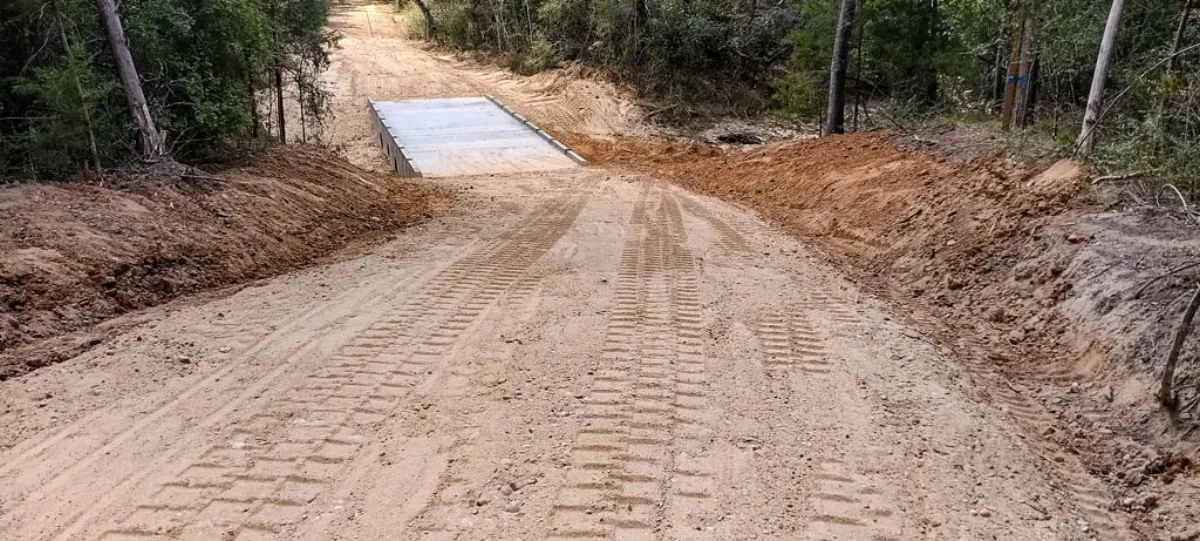 Newly built access road cut into a wooded Northeast Louisiana property