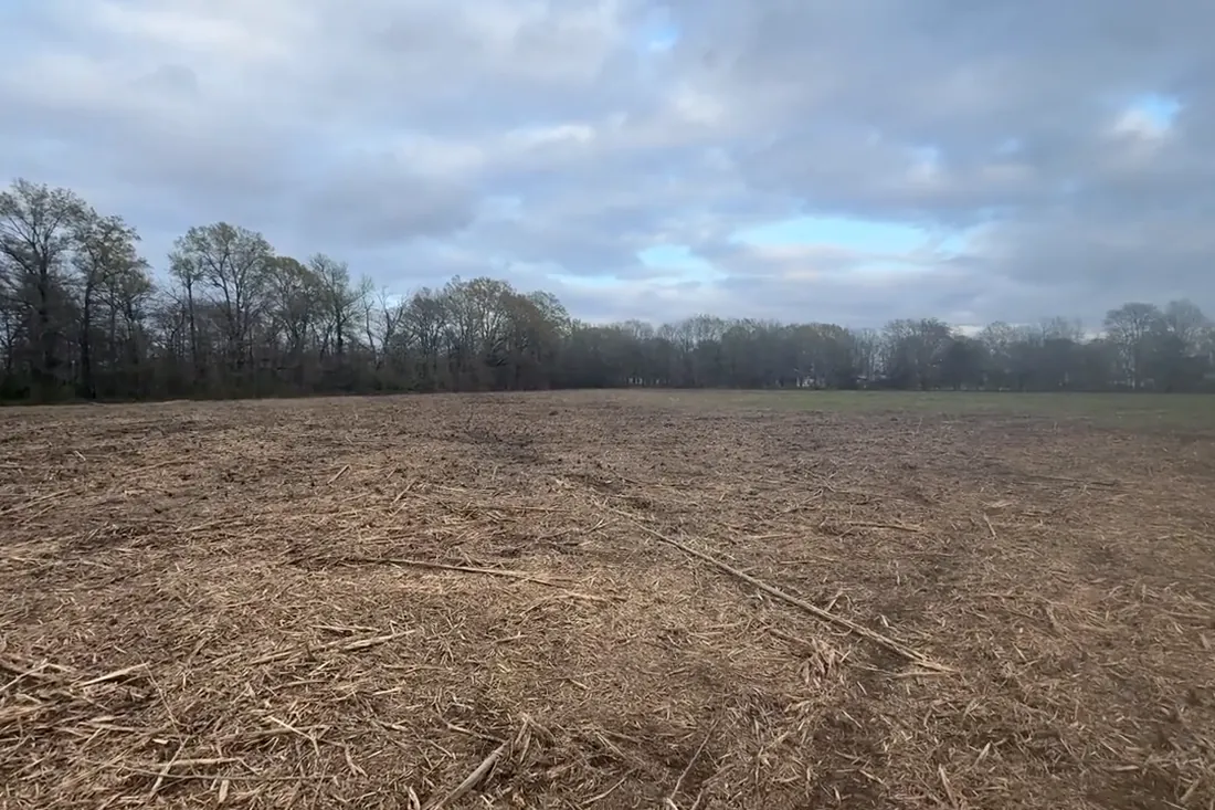 Land clearing and land improvement in St. Joseph, LA