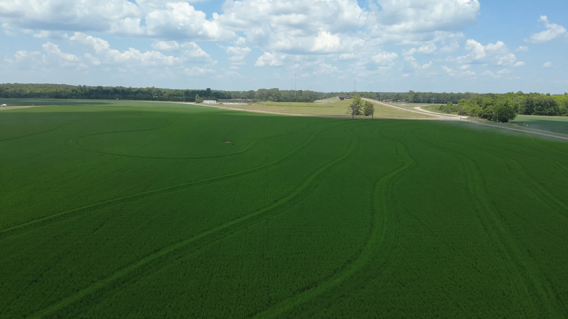 Drone Mapping, Aerial Imagery & Herd Assessments in Northeast Louisiana