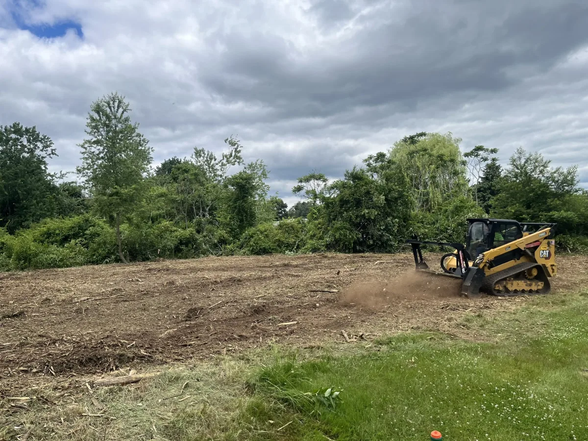 Big Cypress forestry mulcher improving a Northeast Louisiana property