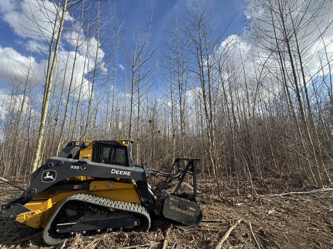Forestry mulcher opening a dense timber understory in Northeast Louisiana