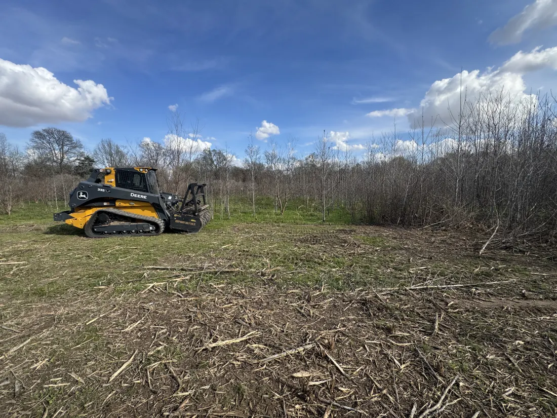 Cleared, usable acreage along the tree line