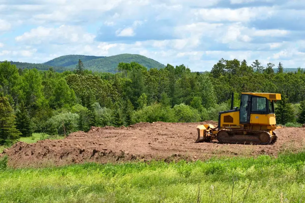 Land clearing in progress on an overgrown Northeast Louisiana property