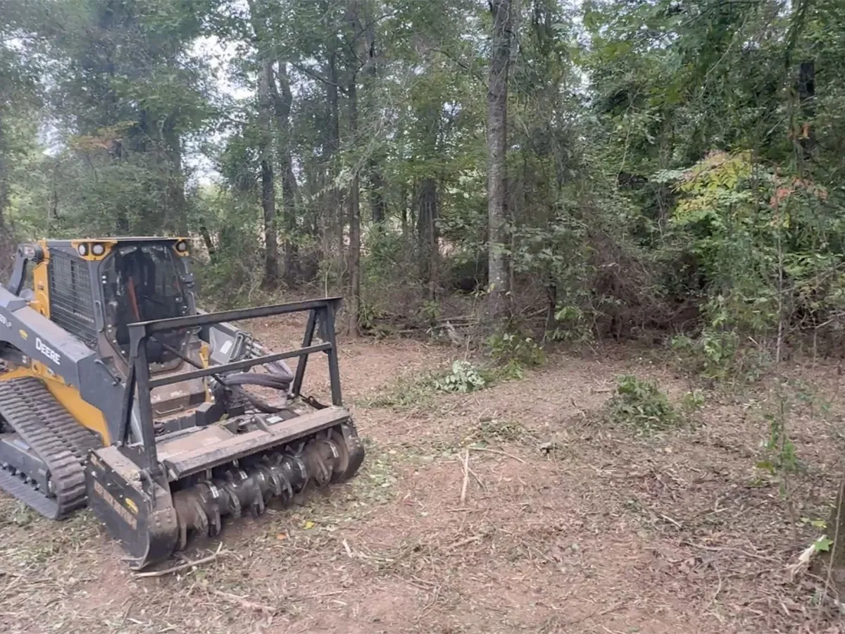 Cleared understory after forestry mulching, with the mulch layer left on the ground near Rayville, LA