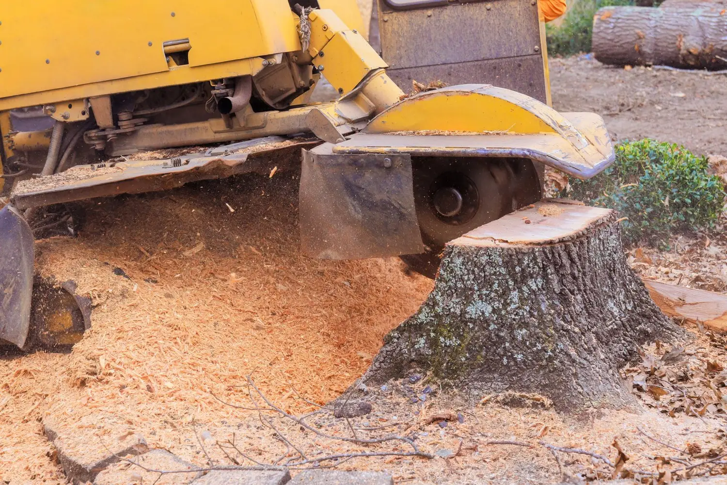Ground-out stump and chips on cleared land near Rayville, LA