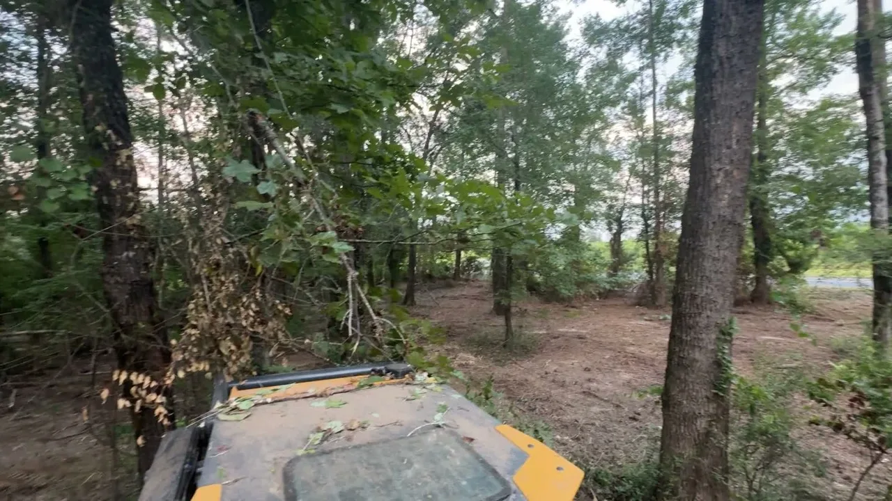 View from the forestry mulcher cab across freshly mulched ground with standing trees left in place
